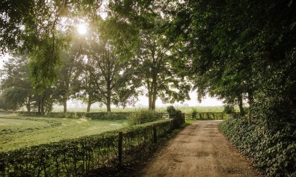 images/Projecten/Nieuws/LaGrange-zandweg.jpg#joomlaImage://local-images/Projecten/Nieuws/LaGrange-zandweg.jpg?width=1024&height=683